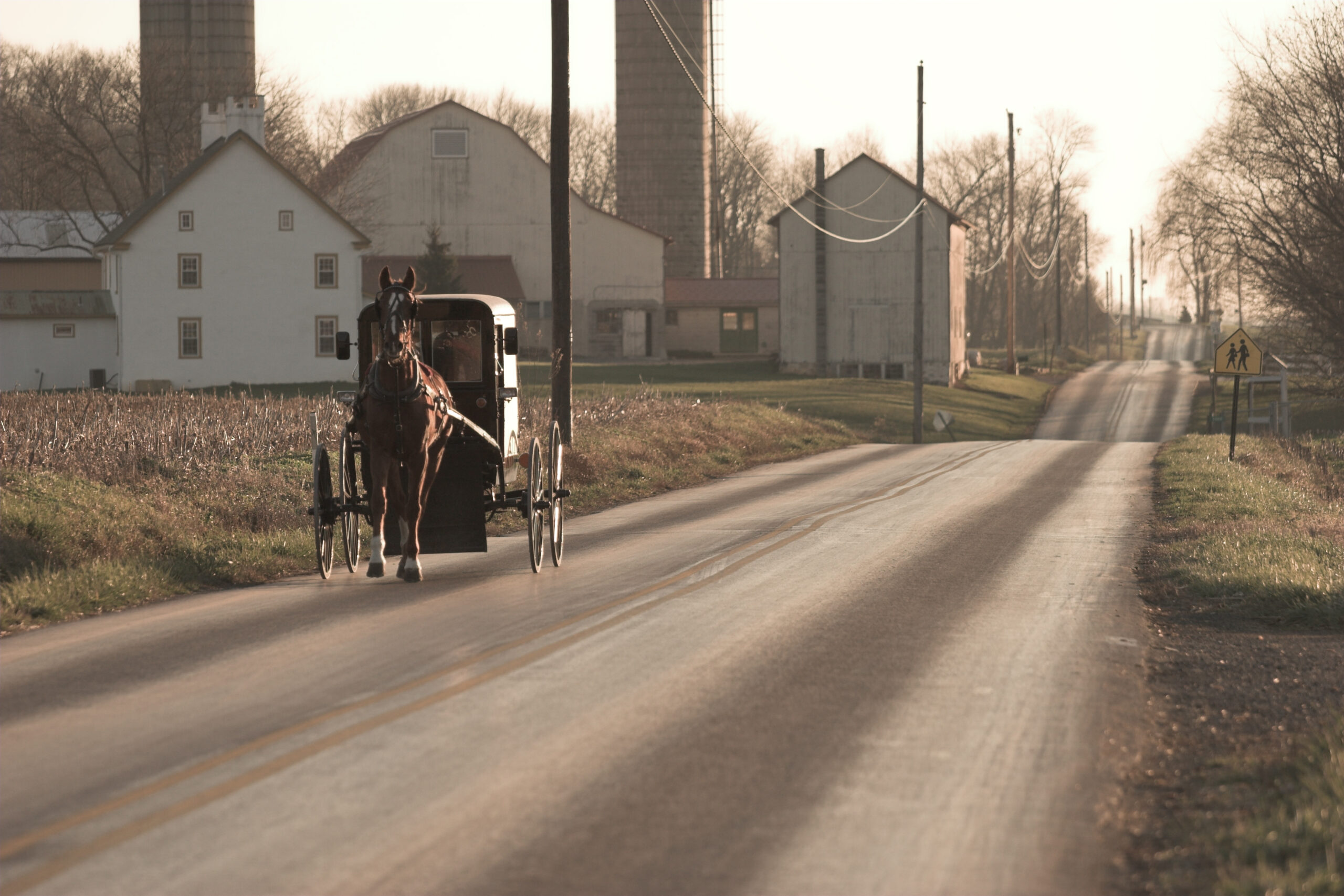 Amish trip 
